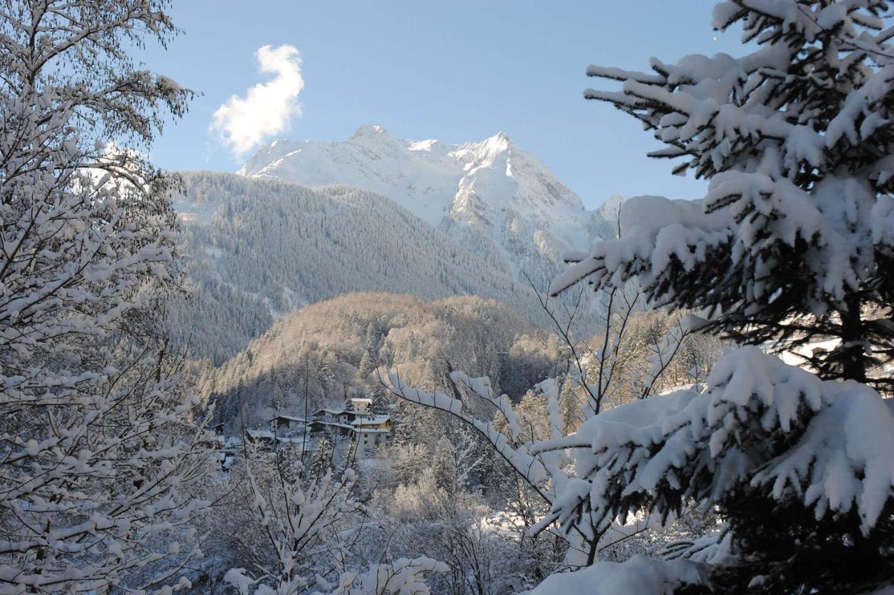Ferienhof Oblasser Mayrhofen Exterior photo